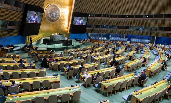 La réforme du Conseil de sécurité de l’ONU est indispensable pour mettre fin à sa « paralysie »